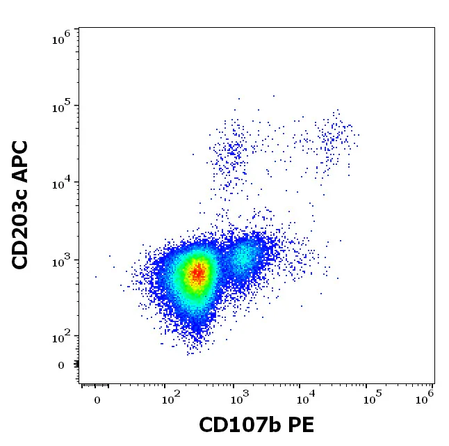 Flow Cytometry - PE Anti-LAMP2 antibody [H4B4] (AB326518)