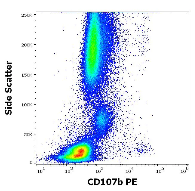 Flow Cytometry - PE Anti-LAMP2 antibody [H4B4] (AB326518)