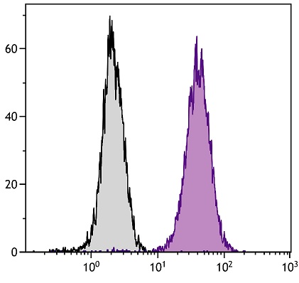 Flow Cytometry (Intracellular) - PE Anti-LAMP2 antibody [H4B4] - Lysosome Marker (AB25368), expandable thumbnail