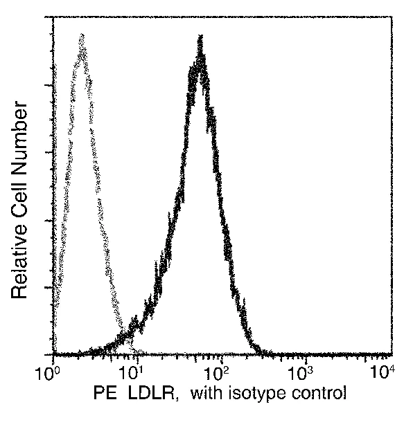 Flow Cytometry - PE Anti-LDL Receptor antibody [032] (AB275705)