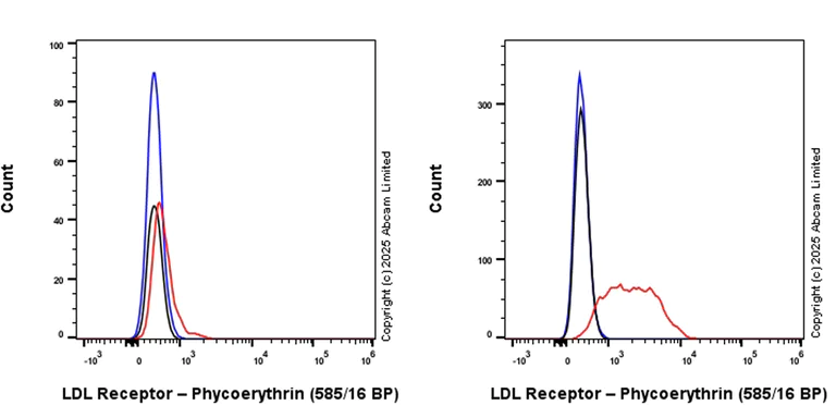 Flow Cytometry - PE Anti-LDL Receptor antibody [EPR1-EUG] (AB325118)