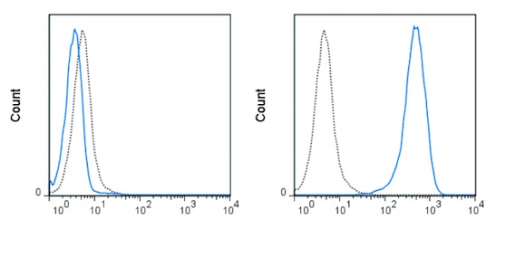 Flow Cytometry - PE Anti-LRRC32 antibody [GARP5] (AB210264), expandable thumbnail