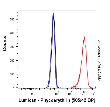 Flow Cytometry (Intracellular) - PE Anti-Lumican antibody [EPR8898(2)] (AB252012)