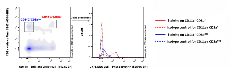 Flow Cytometry - PE Anti-LY75/DEC-205 antibody [EPR27222-93] (AB323730)
