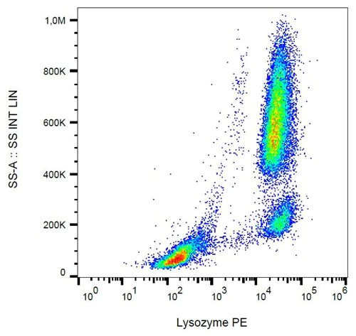 Flow Cytometry (Intracellular) - PE Anti-Lysozyme antibody [LZ598-10G9] (AB270655)