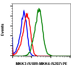 Flow Cytometry - PE Anti-MEK3 (phospho S189) + MKK6 (phospho S207) antibody [MKK3S189MKK6S207-D3] (AB278588), expandable thumbnail