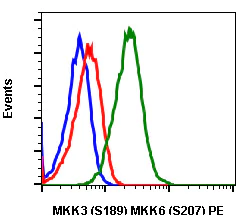 Flow Cytometry - PE Anti-MEK3 (phospho S189) + MKK6 (phospho S207) antibody [MKK3S189MKK6S207-D3] (AB278588)