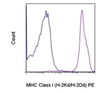 Flow Cytometry - PE Anti-MHC class I antibody [34-1-2S] (AB95571)