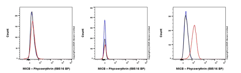 Flow Cytometry - PE Anti-MICB antibody [EPR26362-65] (AB324149)