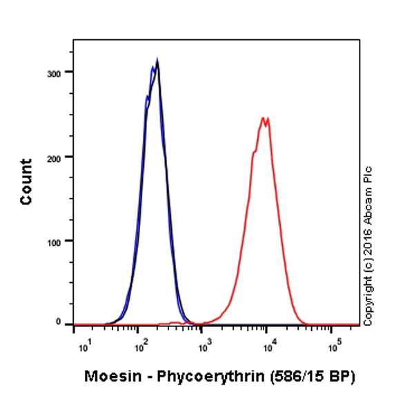 Flow Cytometry (Intracellular) - PE Anti-Moesin antibody [EP1863Y] (AB210983)