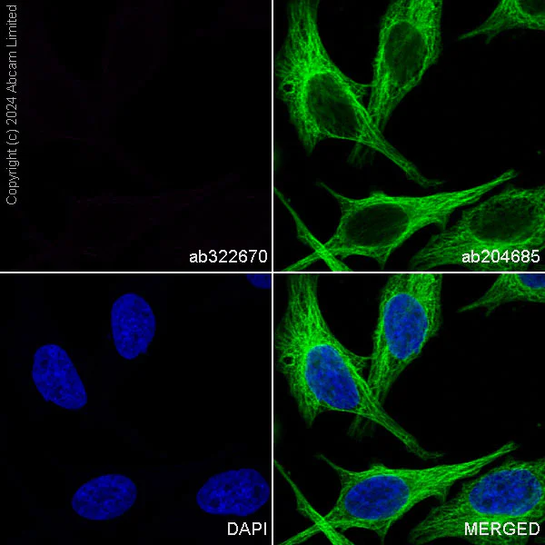 Immunocytochemistry/ Immunofluorescence - PE Mouse IgG1 monoclonal [R312-MouseIgG1]-Isotype control (AB322670)