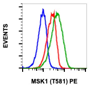 Flow Cytometry - PE Anti-MSK1 (phospho T581) antibody [MSK1T581-A5] (AB278581)