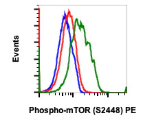 Flow Cytometry - PE Anti-mTOR (phospho S2448) antibody [mTORS2448-E11] (AB278622)