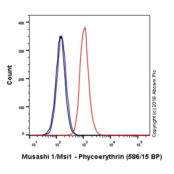 Flow Cytometry (Intracellular) - PE Anti-Musashi 1 / Msi1 antibody [EP1302] (AB210418)
