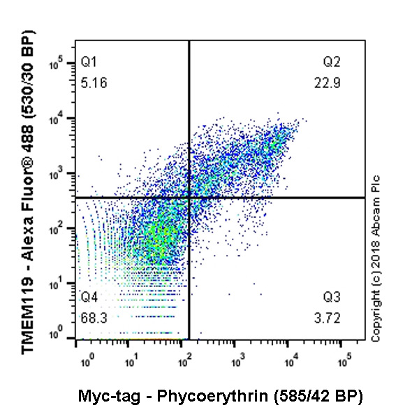 Flow Cytometry (Intracellular) - PE Anti-Myc tag antibody [9E10] (AB72468), expandable thumbnail