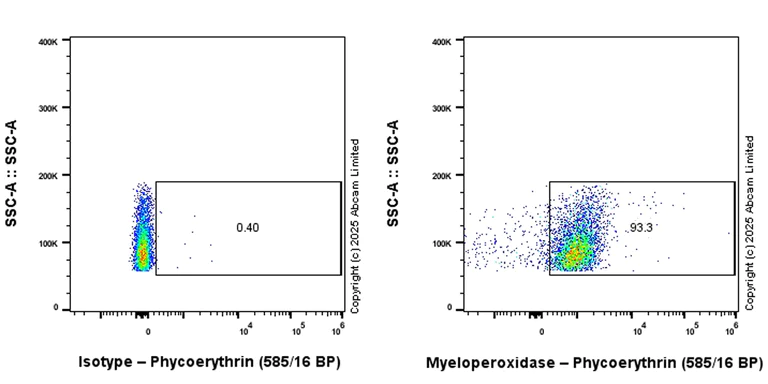 Flow Cytometry (Intracellular) - PE Anti-Myeloperoxidase antibody [EPR17996] (AB324389)