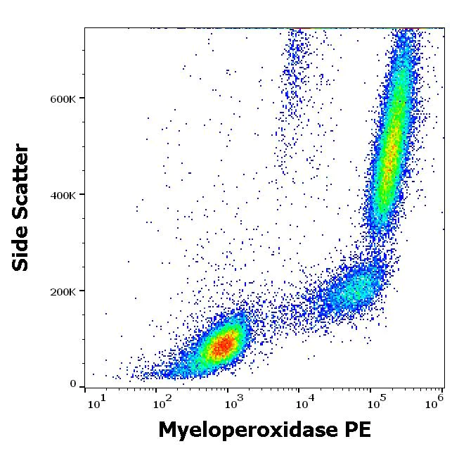 Flow Cytometry (Intracellular) - PE Anti-Myeloperoxidase antibody [MPO421-8B2] (AB269283)