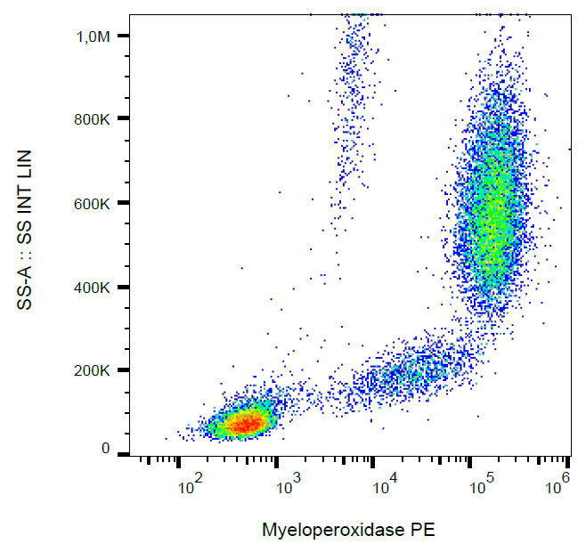 Flow Cytometry (Intracellular) - PE Anti-Myeloperoxidase antibody [MPO421-8B2] (AB269283), expandable thumbnail