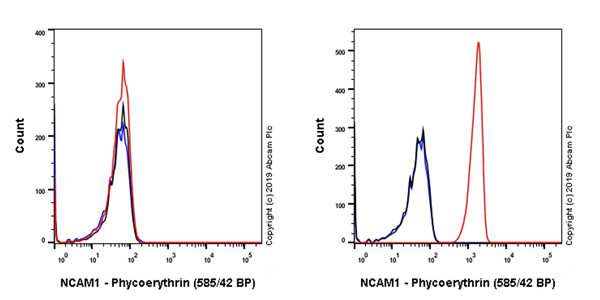 Flow Cytometry - PE Anti-NCAM1 antibody [EPR21827] (AB237381), expandable thumbnail