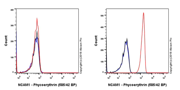 Flow Cytometry - PE Anti-NCAM1 antibody [EPR21827] (AB237381)