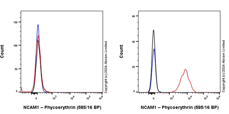 Flow Cytometry - PE Anti-NCAM1 antibody [EPR26939-108] (AB322667)