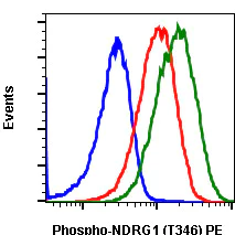 Flow Cytometry - PE Anti-NDRG1 (phospho T346) antibody [NDRG1T346-F5] (AB278574)