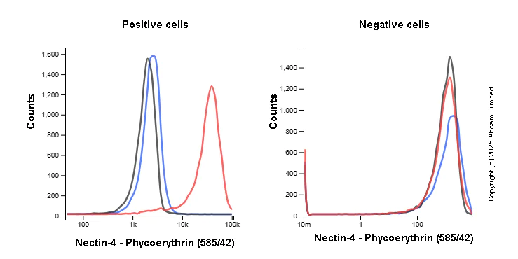 Flow Cytometry - PE Anti-Nectin-4 antibody [EPR29074-48] (AB323937)