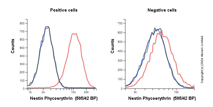 Flow Cytometry (Intracellular) - PE Anti-Nestin antibody [EPR1301(2)] (AB322987), expandable thumbnail