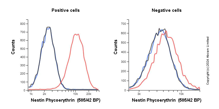 Flow Cytometry (Intracellular) - PE Anti-Nestin antibody [EPR1301(2)] - Neural Stem Cell Marker (AB322987)