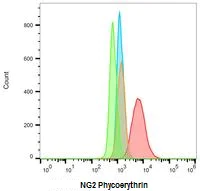 Flow Cytometry - PE Anti-NG2 antibody [7.1] (AB228441)