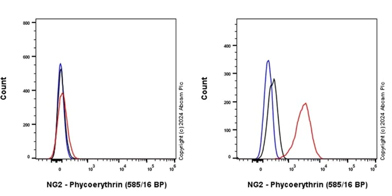 Flow Cytometry - PE Anti-NG2 antibody [EPR23752-147] (AB317593)
