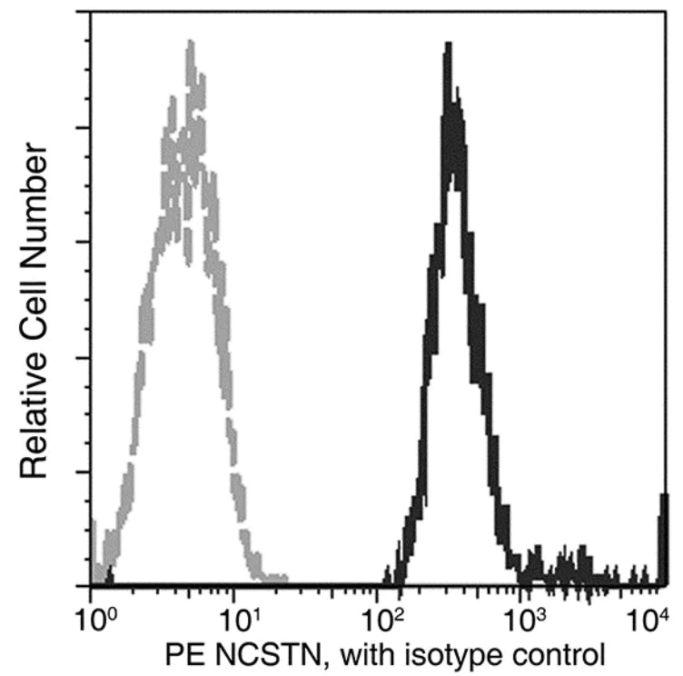 Flow Cytometry - PE Anti-Nicastrin antibody [002] (AB275621)
