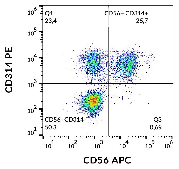 Flow Cytometry - PE Anti-NKG2D antibody [1D11] (AB178446)