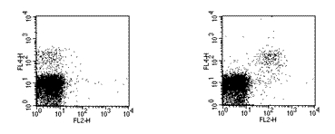 Flow Cytometry - PE Anti-NKG2D antibody [CX5] (AB95798)