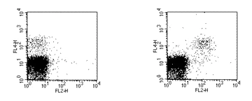 Flow Cytometry - PE Anti-NKG2D antibody [CX5] (AB95798)