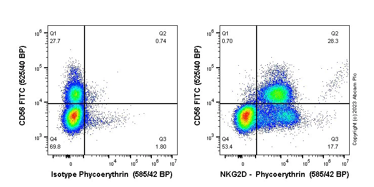 Flow Cytometry - PE Anti-NKG2D antibody [EPR22935-131] (AB314290)