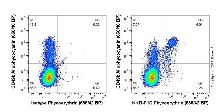 Flow Cytometry - PE Anti-NKR-P1C antibody [EPR22990-12] (AB315144)