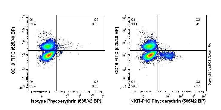 Flow Cytometry - PE Anti-NKR-P1C/NK1.1 antibody [EPR22990-12] (AB315144)