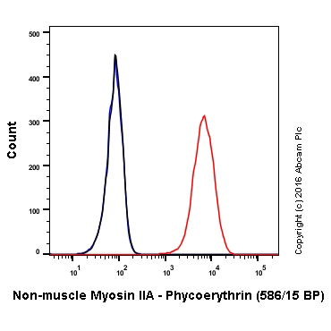 Flow Cytometry (Intracellular) - PE Anti-non-muscle Myosin IIA antibody [EPR8965] (AB211837)