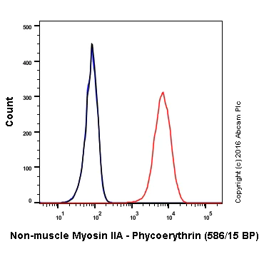 Flow Cytometry (Intracellular) - PE Anti-non-muscle Myosin IIA antibody [EPR8965] (AB211837)