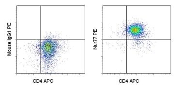 Flow Cytometry - PE Anti-NUR77 antibody [12.14] (AB95659)