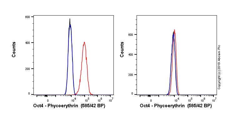 Flow Cytometry (Intracellular) - PE Anti-Oct4 antibody [EPR17929] (AB283731), expandable thumbnail