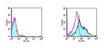 Flow Cytometry - PE Anti-OX40L/TNFSF4 antibody [RM134L] (AB95656)