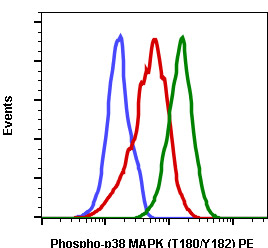 Flow Cytometry - PE Anti-p38 (phospho T180 + Y182) antibody [P38T180Y182-E3] (AB278568), expandable thumbnail