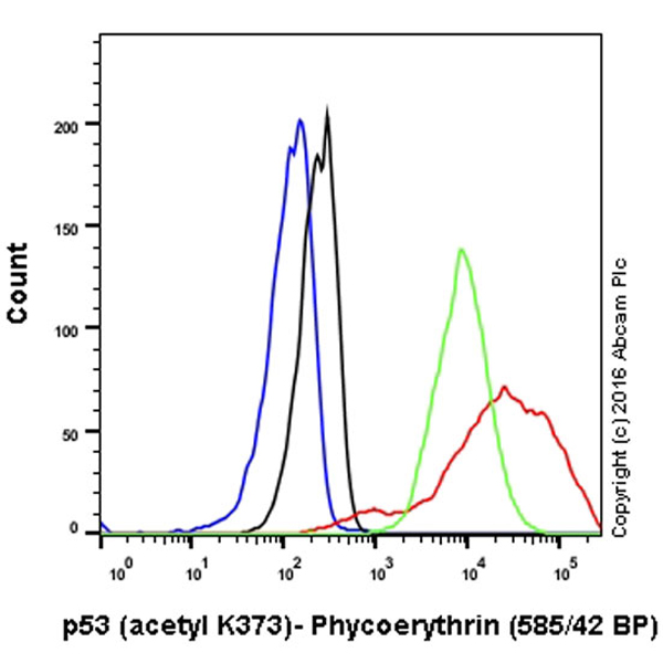 Flow Cytometry (Intracellular) - PE Anti-p53 (acetyl K373) antibody [EP356(2)AY] (AB214511)