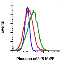 Flow Cytometry - PE Anti-p53 (phospho S15) antibody [P53S15-1C11] (AB278730)