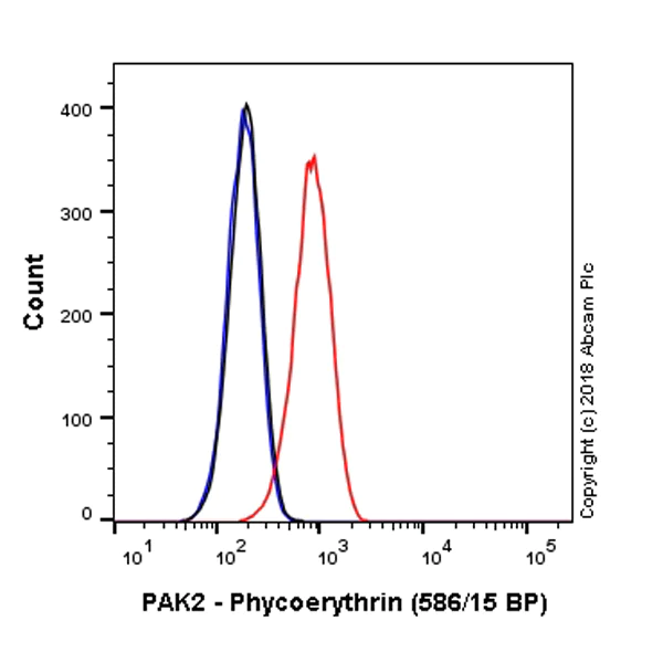 Flow Cytometry (Intracellular) - PE Anti-PAK2 antibody [EP796Y] (AB225023)