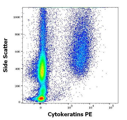 Flow Cytometry - PE Anti-pan Cytokeratin antibody [C-11] (AB52460), expandable thumbnail