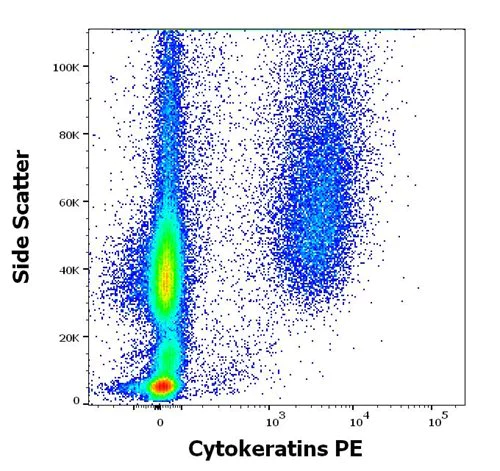 Flow Cytometry - PE Anti-pan Cytokeratin antibody [C-11] (AB52460)