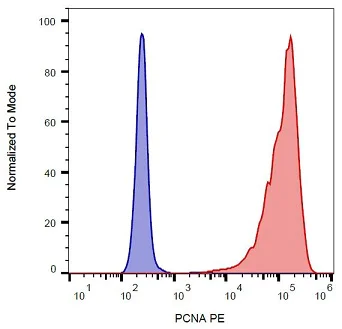 Flow Cytometry (Intracellular) - PE Anti-PCNA antibody [PC10] (AB233658)